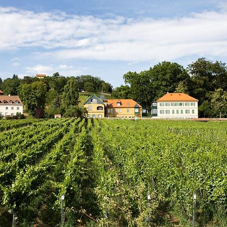 Weingut Haus Steinbach Villa Radebeul Dış mekan fotoğraf