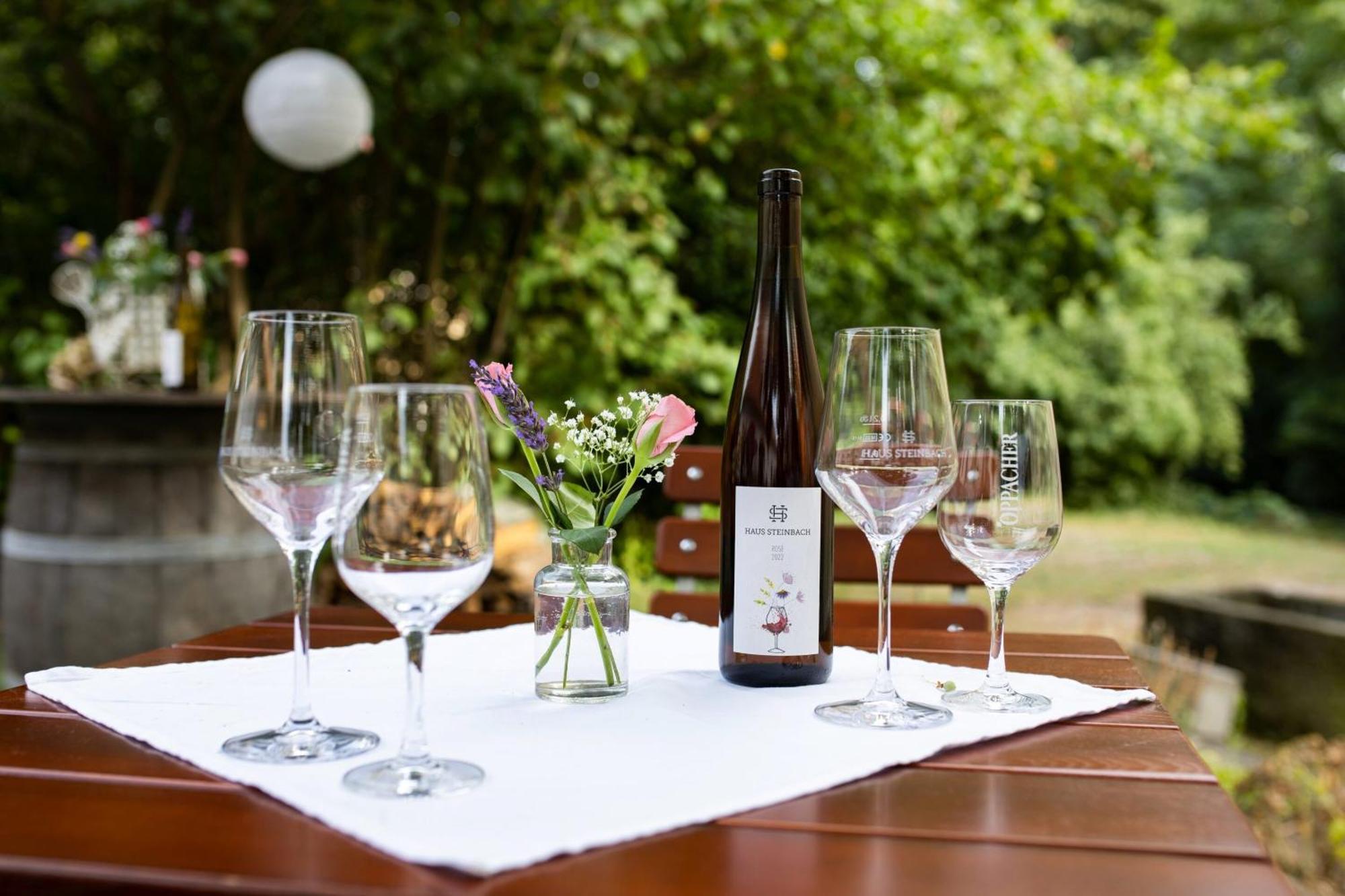 Weingut Haus Steinbach Villa Radebeul Dış mekan fotoğraf