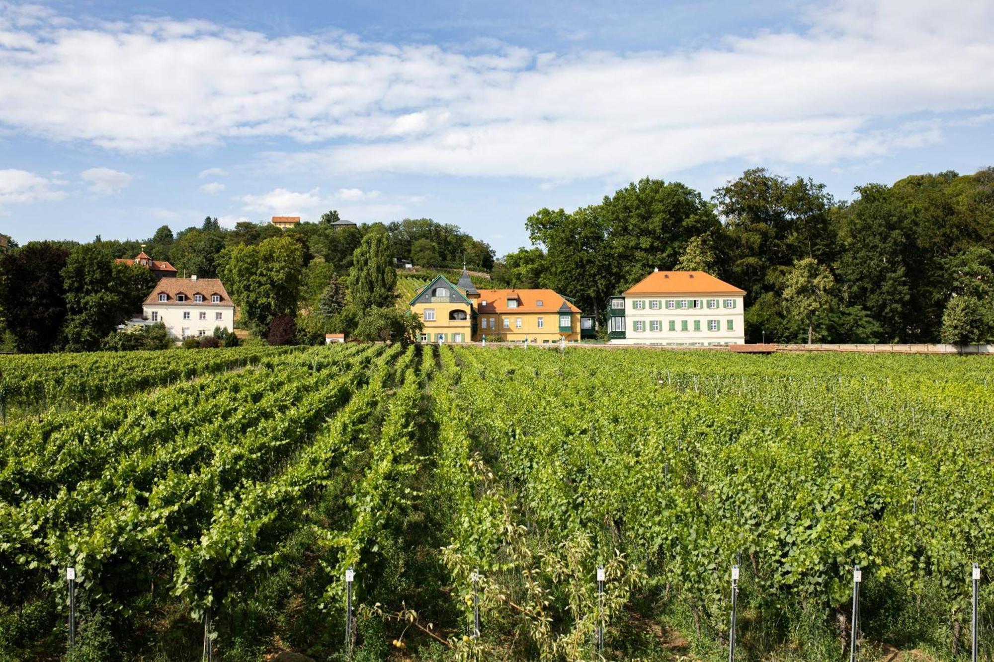 Weingut Haus Steinbach Villa Radebeul Dış mekan fotoğraf