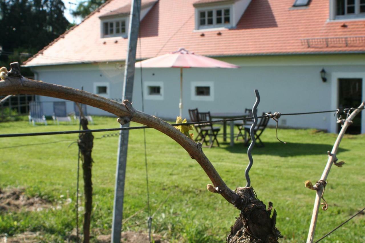 Weingut Haus Steinbach Villa Radebeul Dış mekan fotoğraf